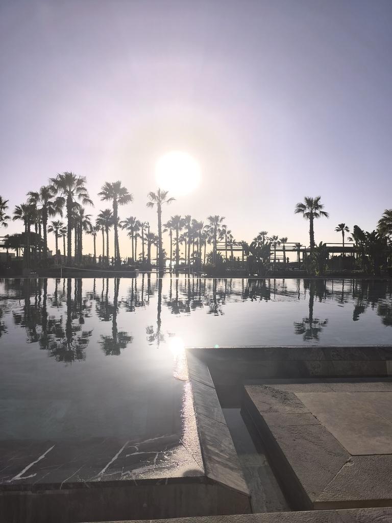 zedmonsta's tweet image. 🇲🇦