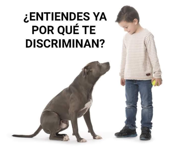 Profesionales VS LEY PPP tweet media