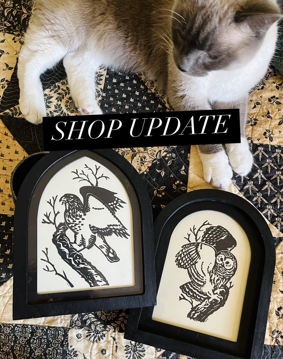 🌞 ko-fi.com/truffke/shop