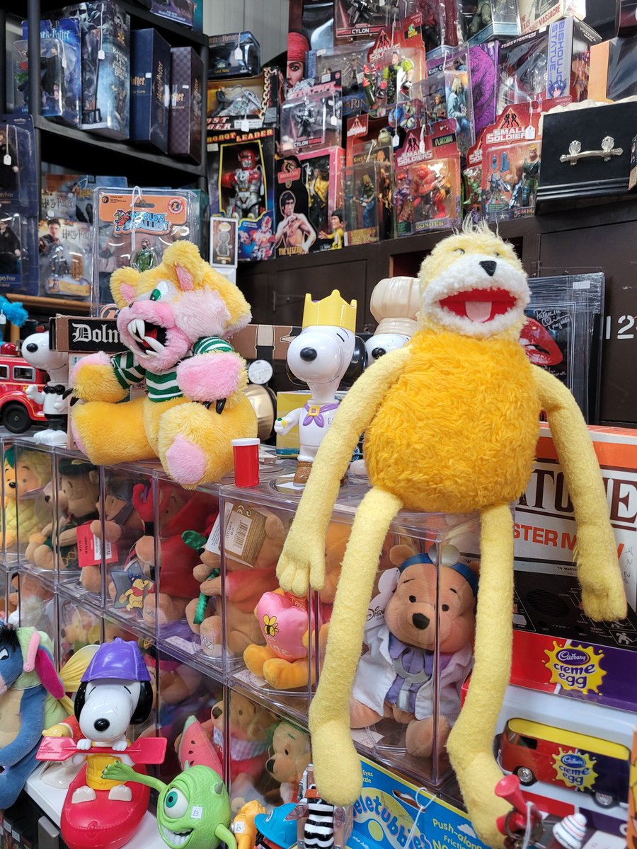 HaydoLab's tweet image. Coolest shop ever? 
Coolest shop ever. 

Such a weird rush seeing 'proper' TY beanie babies displayed like that 🥹

📍88mph Toys &amp;amp; Collectables