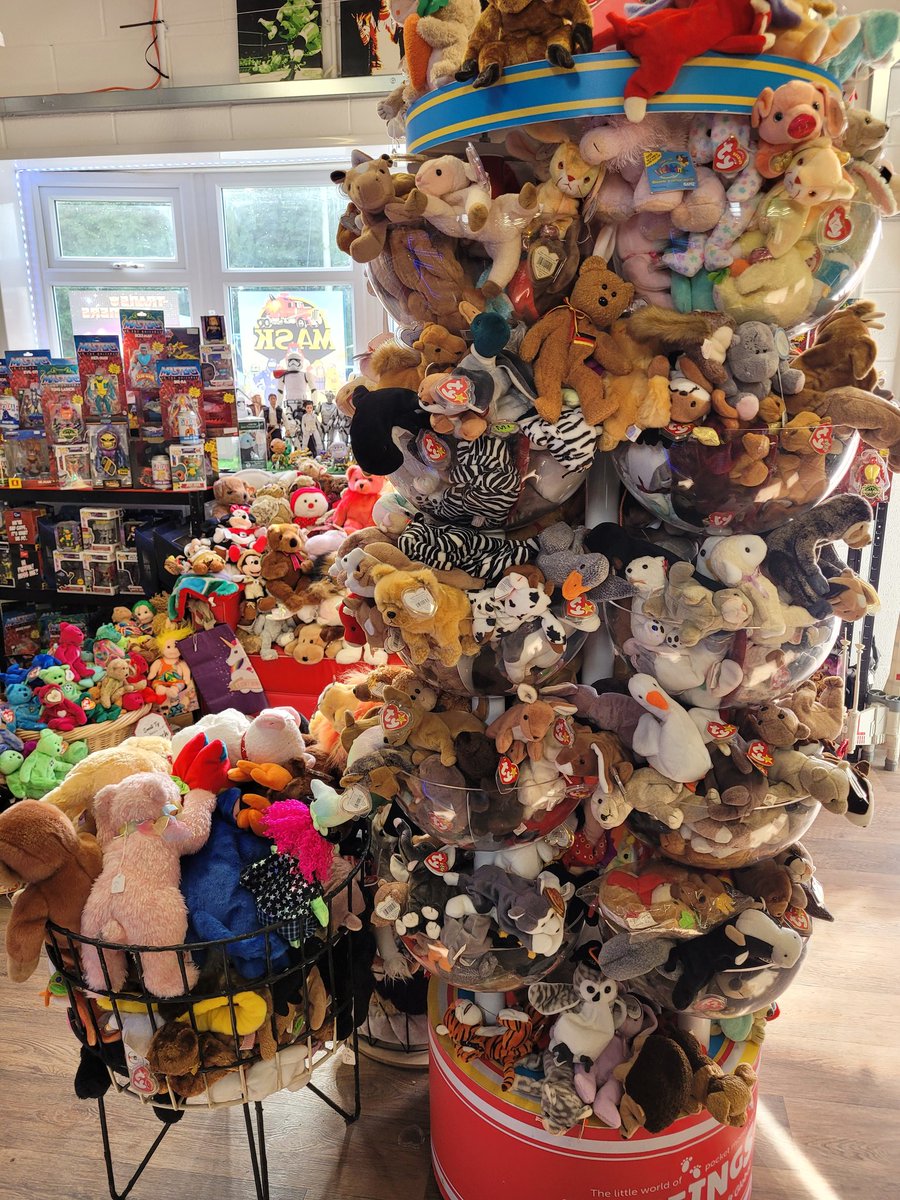 HaydoLab's tweet image. Coolest shop ever? 
Coolest shop ever. 

Such a weird rush seeing 'proper' TY beanie babies displayed like that 🥹

📍88mph Toys &amp;amp; Collectables