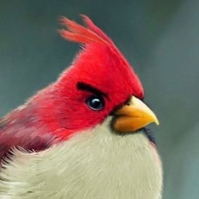 AnythingDrummis tweet media