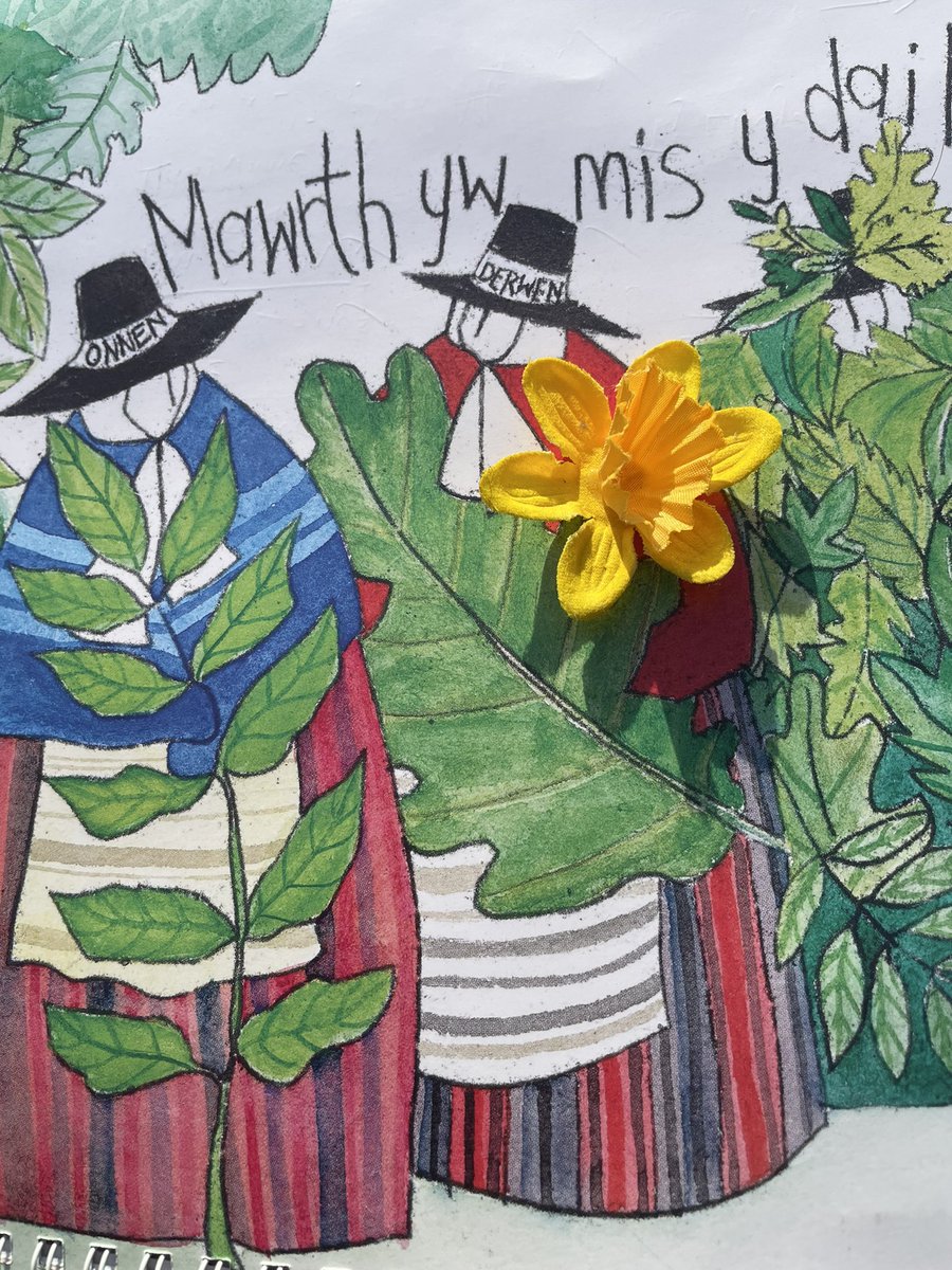 Dydd Gŵyl Ddewi hapus ac heulog i bawb! Happy St David’s Day from Penylan! See you all at the next pick on April the 6th