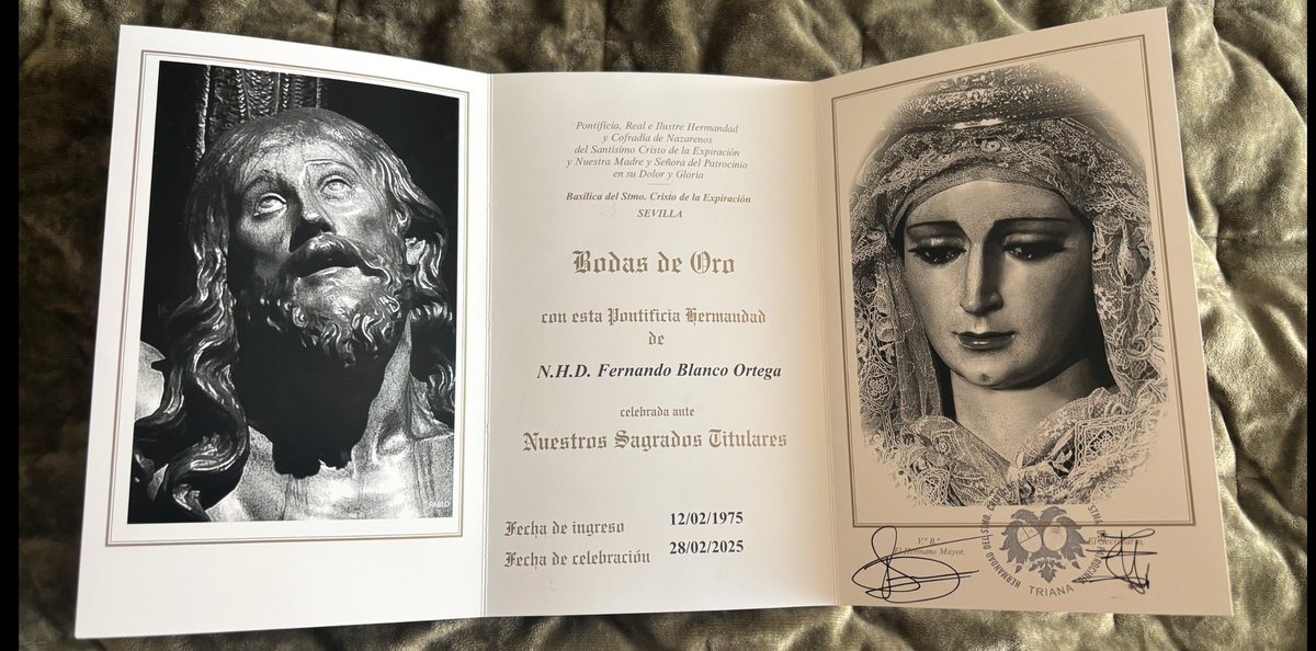 lunadenissan's tweet image. Entre ellos…mi vida.
Qué ilusión mas grande!
#Laños 🖤🤍