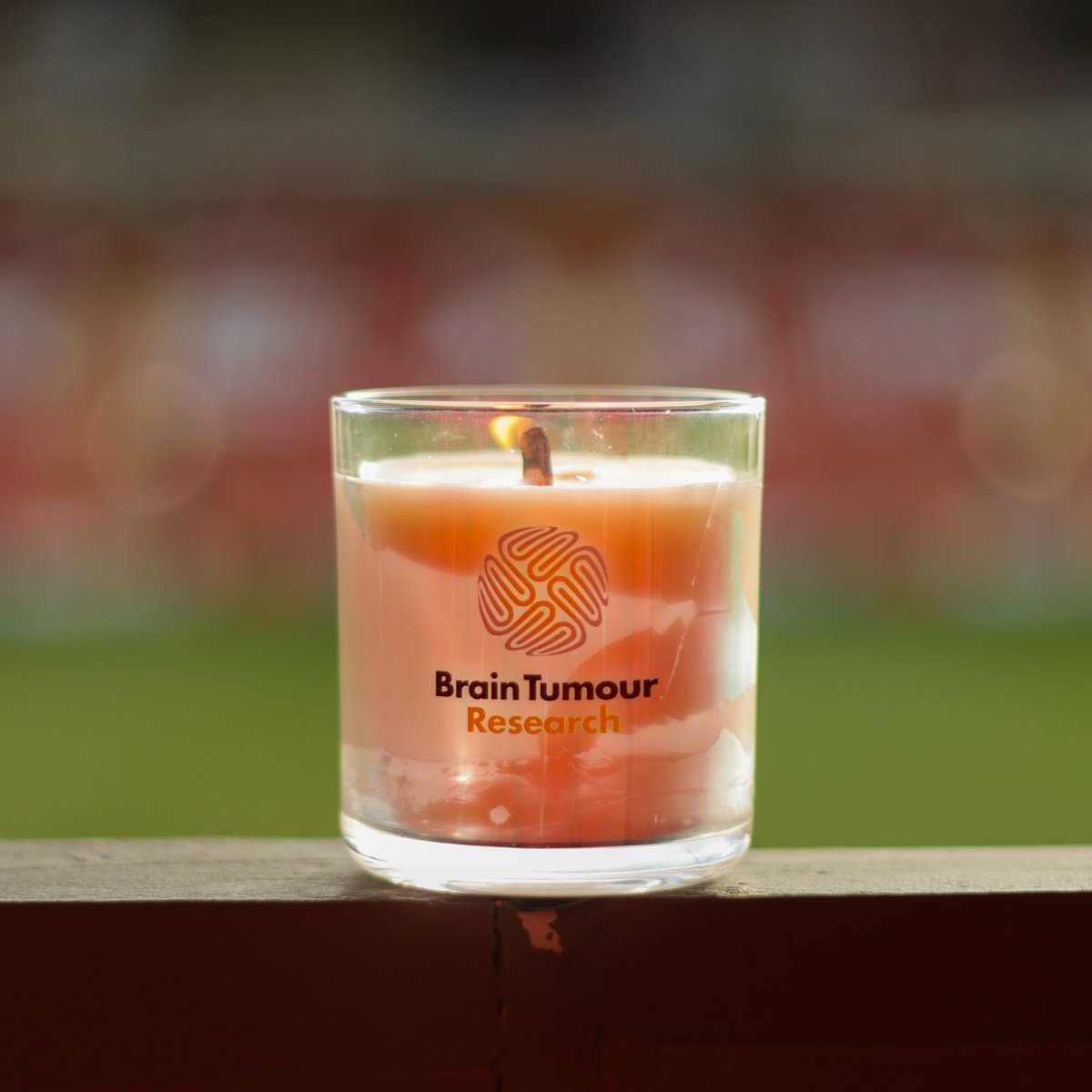 Wrexham AFC (@wrexham_afc) on Twitter photo Wrexham AFC are proud to support #ShineALight and <a href="/braintumourrsch/">Brain Tumour Research</a>, for those affected by this devastating disease and those we have lost 🕯️
🔴⚪ #WxmAFC Wrexham AFC are proud to support #ShineALight and <a href="/braintumourrsch/">Brain Tumour Research</a>, for those affected by this devastating disease and those we have lost 🕯️
🔴⚪ #WxmAFC