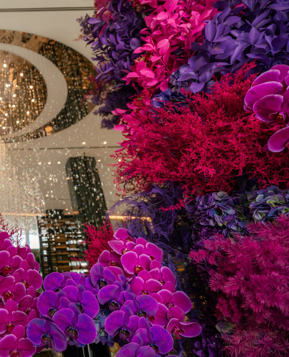 FSNewOrleans tweet media