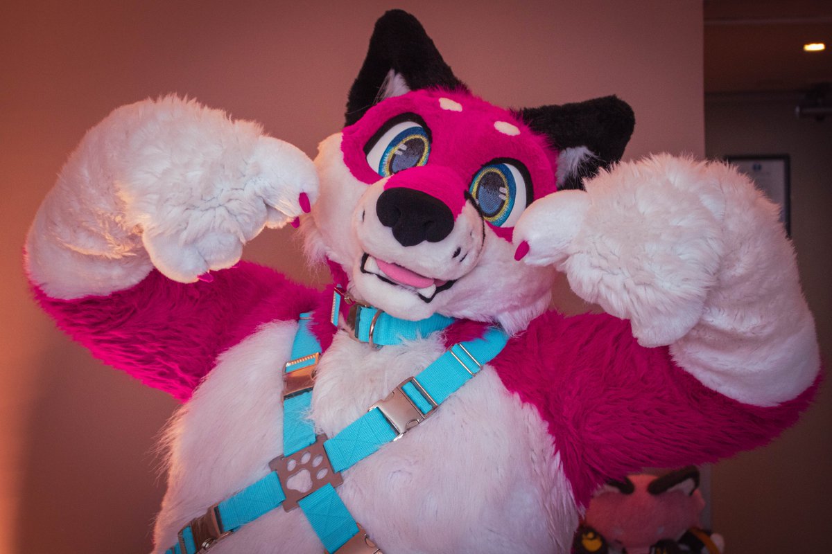 Baylei (@bayleifox) on Twitter photo This fox is going to be at #NFC2025 tomorrow!
Feel free to say Hi and ask for hugs!
πͺ‘ <a href="/ShagpokeStudios/">Shagpoke Studios</a> This fox is going to be at #NFC2025 tomorrow!
Feel free to say Hi and ask for hugs!
πͺ‘ <a href="/ShagpokeStudios/">Shagpoke Studios</a>