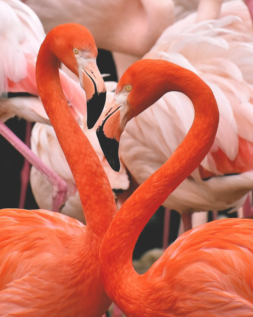 Happy Family Day from the BNL Unicorns! 🦄 💞⁠
⁠
However you spend your day, we hope that you're surrounded by those you love and that the bonus day off brings some much-needed relaxation and screen-free time!⁠  🏄‍♀️ 👇⁠

#bnlsocial #socialmediamanager #socialmediaconsulting