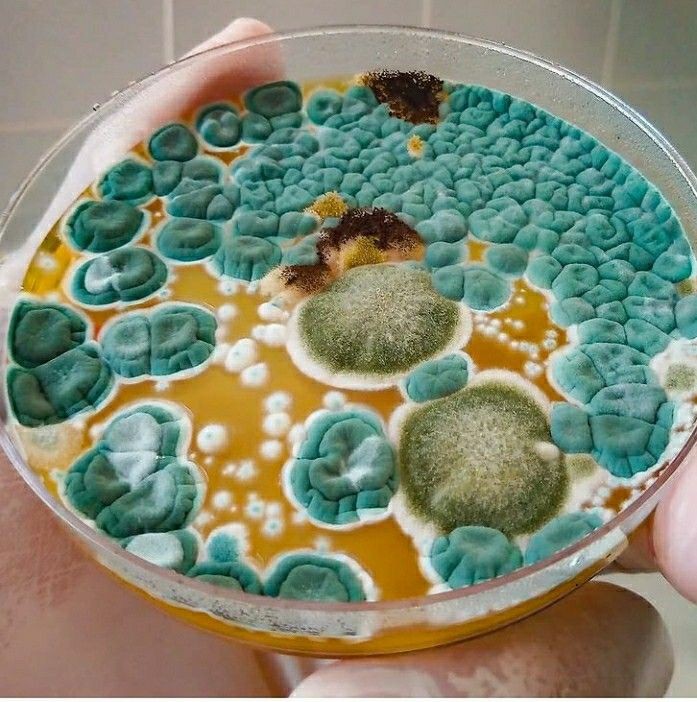 #نقابه_علميين_مطلبنا