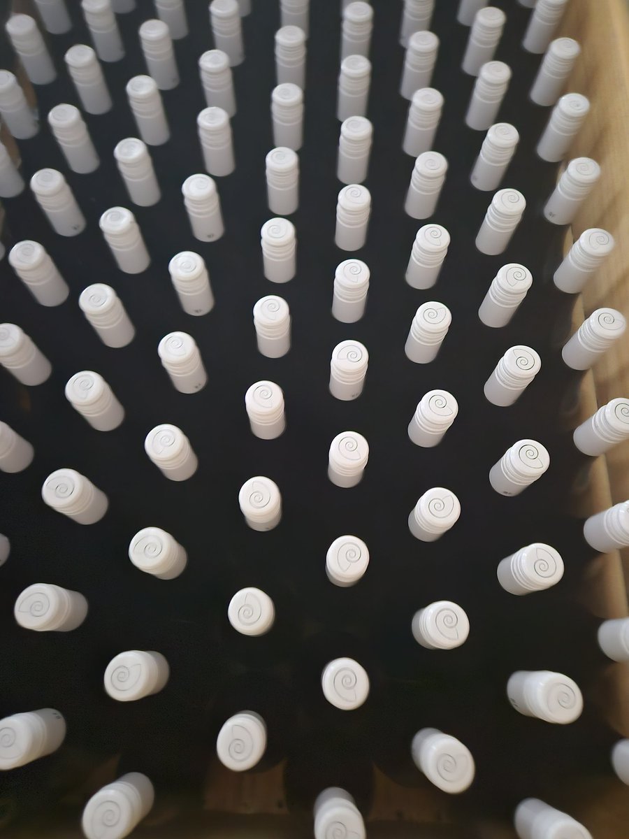 Bottled all our 2024 white wines today.