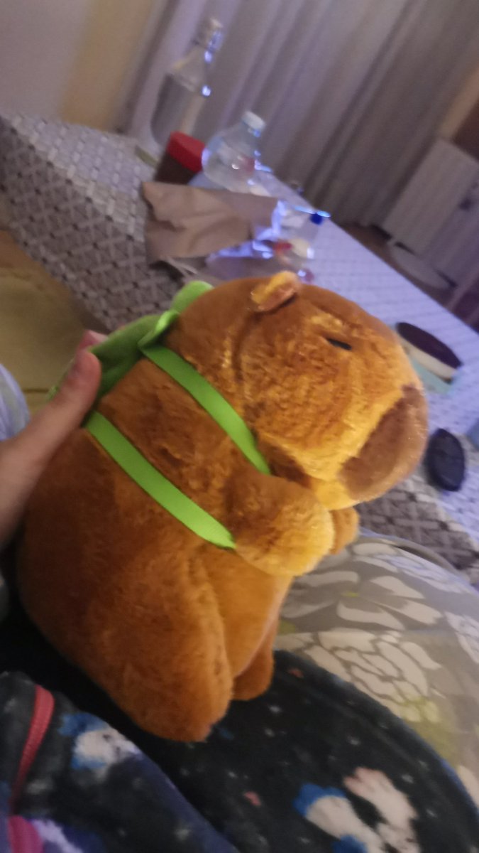 punchi | closed tweet media