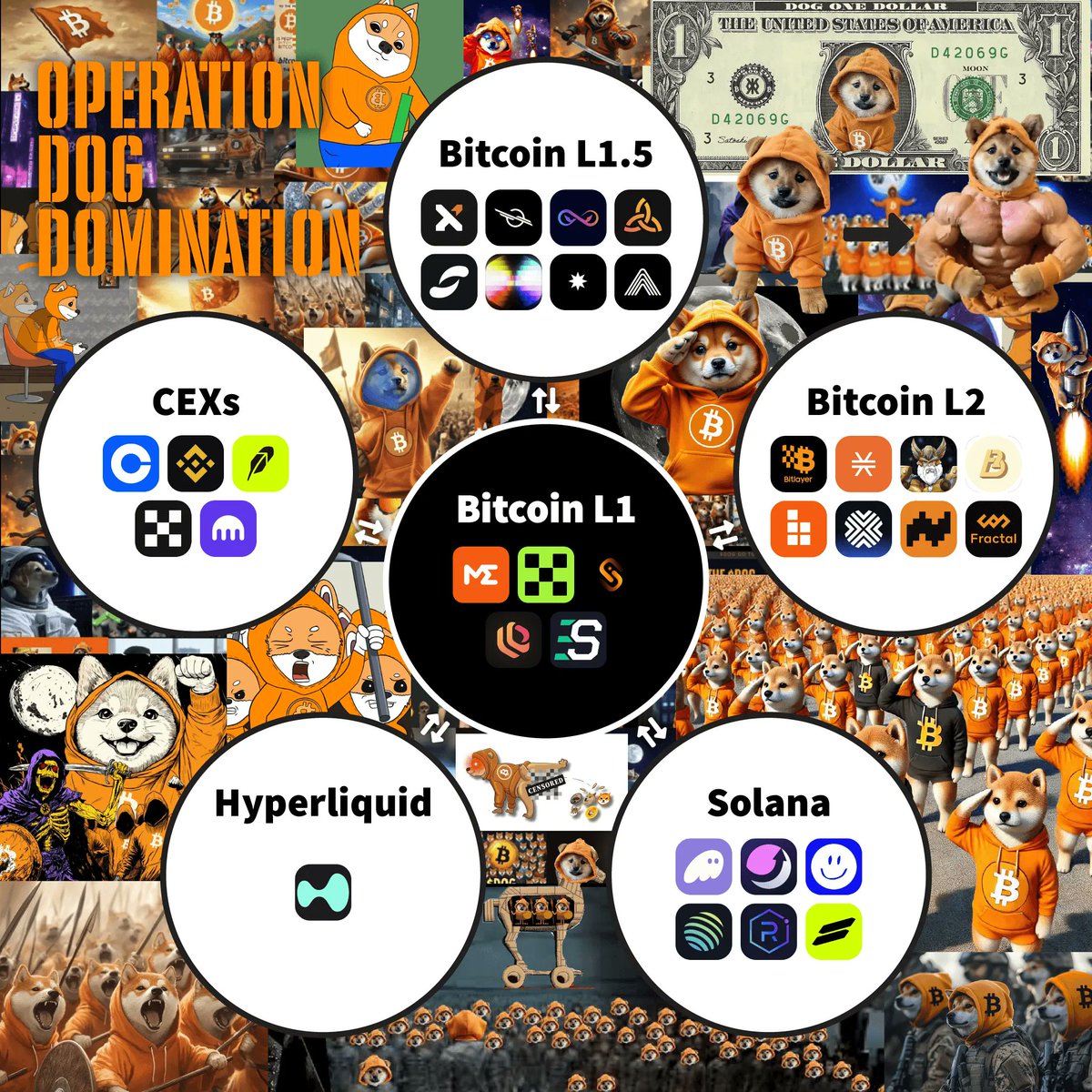 JcBtcHodler's tweet photo. OPERATION $DOG DOMINATION

#Bitcoin #Ethereum #Solana #Base #Cardano https://t.co/xA7u1Z4oca
