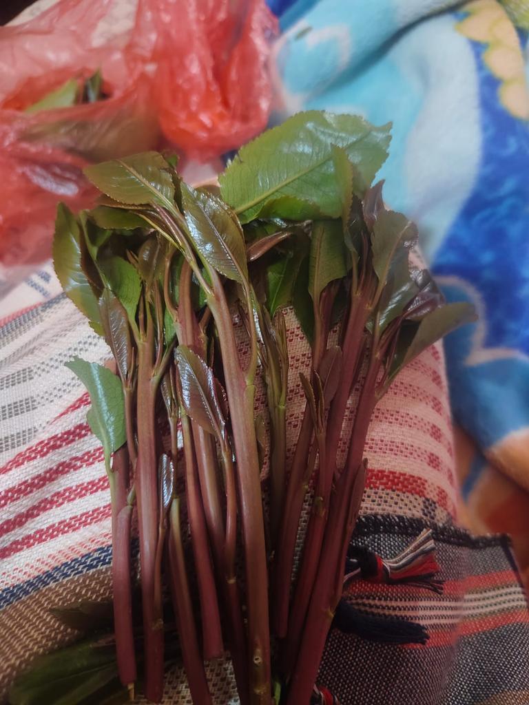 من في بويش او مفرق روكب سالب جاد