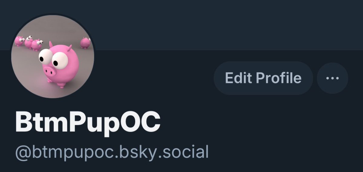 BtmPupOC tweet media