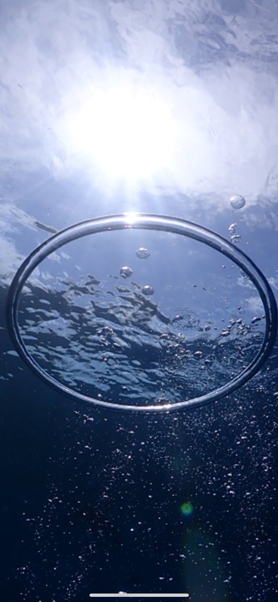 ☪弓月（ゆづき）☪ tweet media