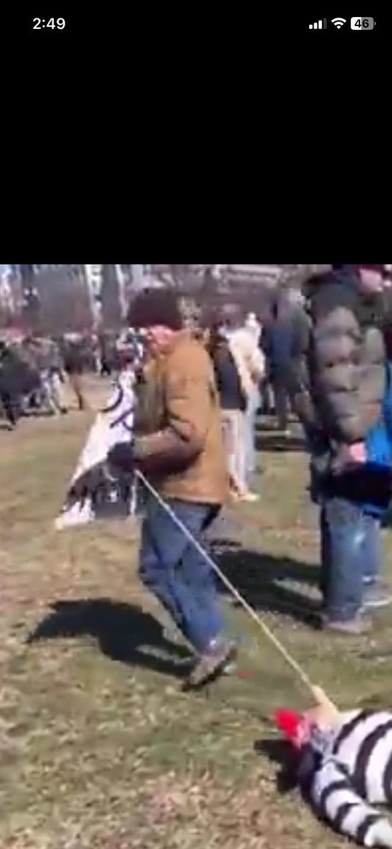 MAGAfan1776 tweet media