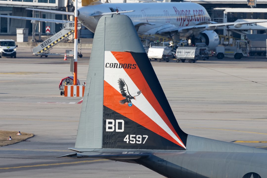 AviaPhoto Yannis tweet media