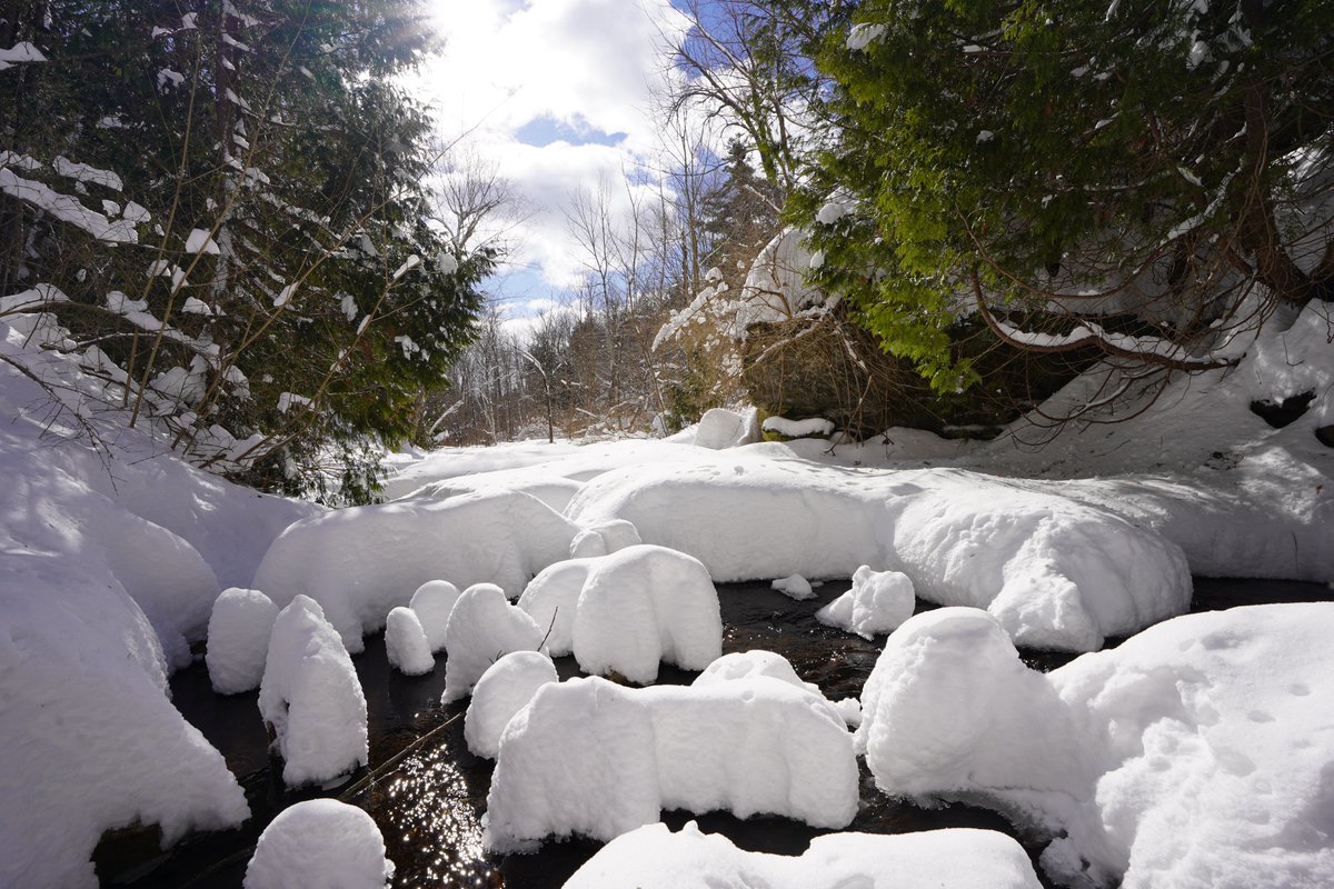 Mother Nature delivered for a winter wonderland Family Day weekend.   From snowshoeing to hiking it was great to get out and enjoy nature
