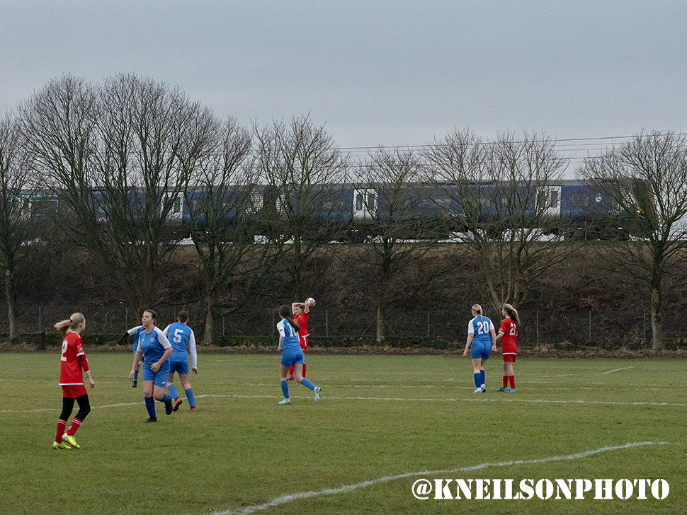 Kelly Neilson tweet media