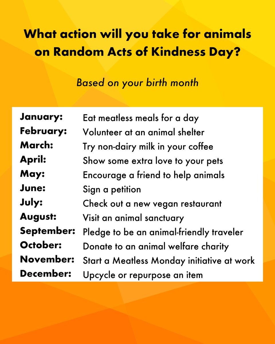 Get inspired to do a random act of kindness today! Here are some ideas of kind things you can do for animals 🧡