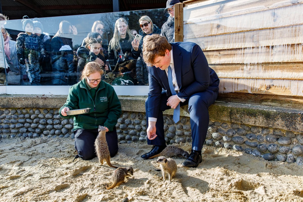 Dan Swords tweet media