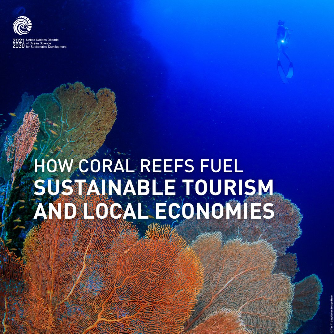Sustainable tourism can be a powerful tool to protect the ocean. 

This Global #TourismResilience Day, see how, as part of the #OceanDecade, innovative partnerships bring people together to restore coral reefs—boosting tourism and supporting communities: ow.ly/NfUu50V1osB