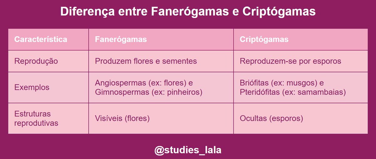 studies_lala's tweet photo. Tabela com as diferenças entre fanerógamas e criptógamas para botânica!🌷 https://t.co/8e3r0NmtP1