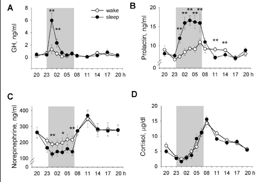 The most anabolic supplement:

Sleep

Bank as much sleep as you can before midnight

Grown hormone pulses at a rate of 4-6x more from 10pm-2am