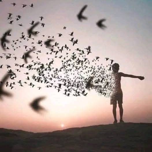 FjZBfuIgnmCrDgG's tweet photo. شبيه الروح واحد وشبيه الوجه
أربعون ..
قد تلتقي أكثر من مرّة بمن يشبه ملامحك
ولكنك ستكون محظوظاً جداً إن أسعفتكَ الحياة وجمعتكَ بشبيه روحك الوحيد 
ولو لــ مرةٍ واحدة https://t.co/aI64hAsdtm