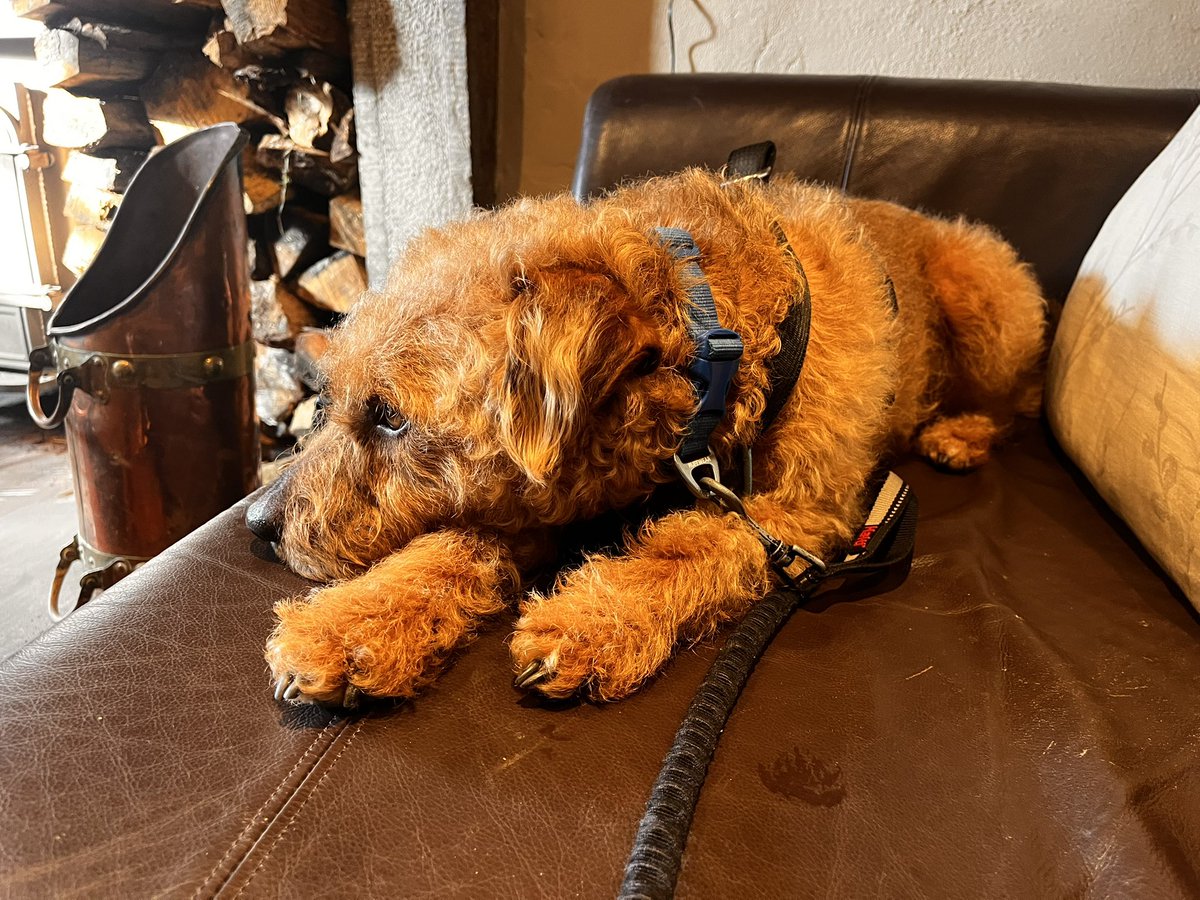 LordJack642's tweet photo. On me holibobs in the Lake District, dad’s taken me the pub again 😂 https://t.co/hqtAImZOhl