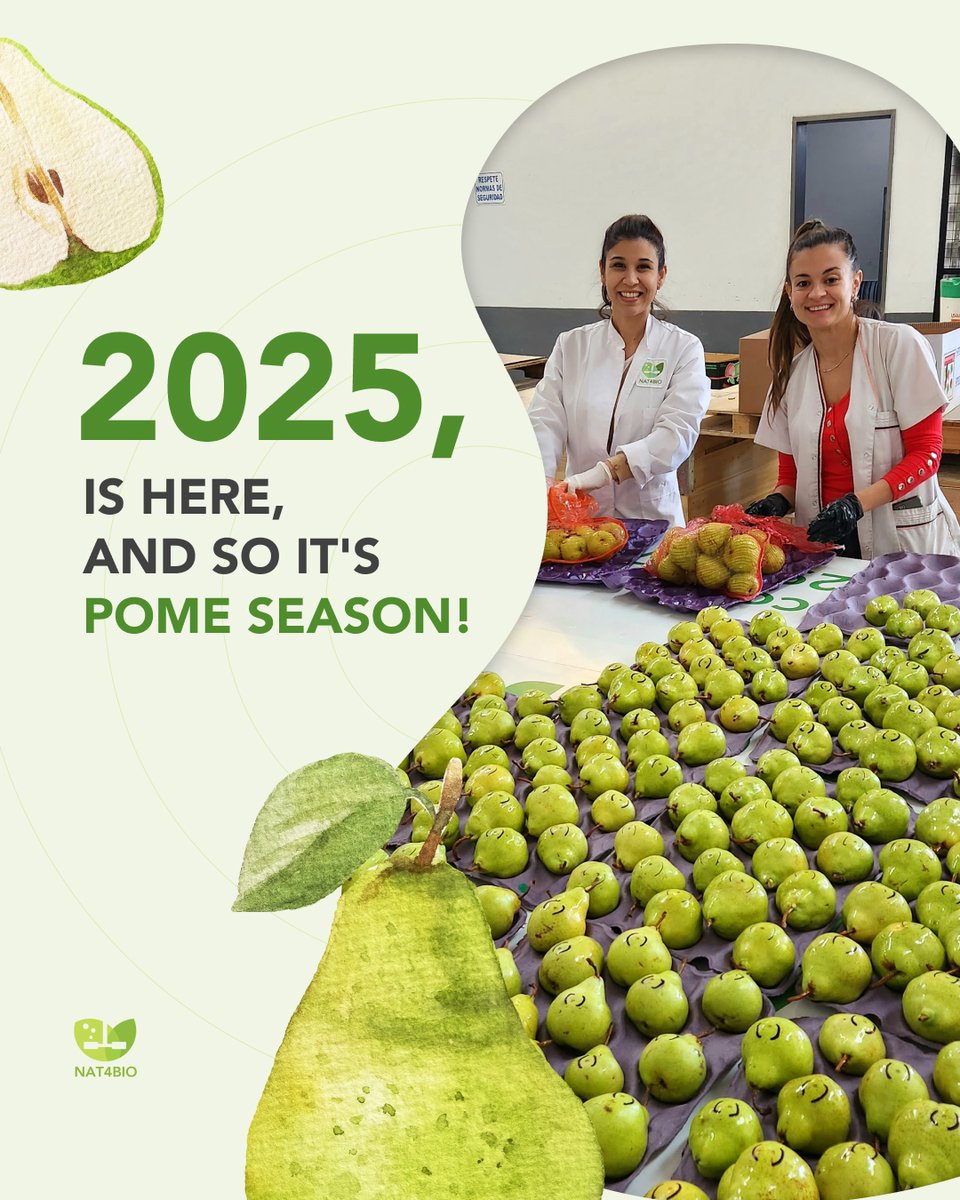 The pome fruit season has begun! 🍏🍐

👩‍🔬 Our team is already in the Alto Valle region, collaborating with INTA in Argentina’s main apple and pear production area.