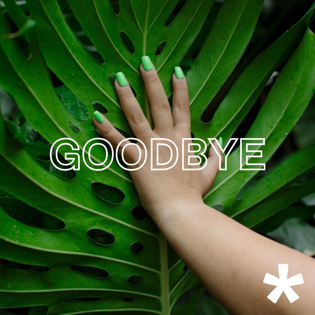 Bye bye X! Wir werden weiterhin mit euch auf anderen Plattformen kommunizieren, die unseren Werten in Bezug auf die Menschenrechte näher stehen 🌍⚖️🌈 Zum Beispiel auf Bluesky 👉bit.ly/4gPSKkG
#sexuellegesundheitschweiz #sexuellerechte #menschenrechte