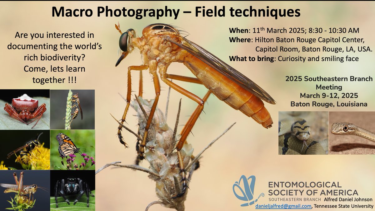 ALFRED DANIEL J (דָּנִיֵּאל) (@danieljalfred1) on Twitter photo We are excited to invite you to the workshop on insect photography! Kindly mark your calendar for Tuesday, March 11th, 2025, and join us at the Hilton Capitol Room from 8: 30 AM to 10:30 AM during the Entomological Society of America Southeastern Branch Meeting <a href="/EntsocAmerica/">Entomological Society of America</a> We are excited to invite you to the workshop on insect photography! Kindly mark your calendar for Tuesday, March 11th, 2025, and join us at the Hilton Capitol Room from 8: 30 AM to 10:30 AM during the Entomological Society of America Southeastern Branch Meeting <a href="/EntsocAmerica/">Entomological Society of America</a>