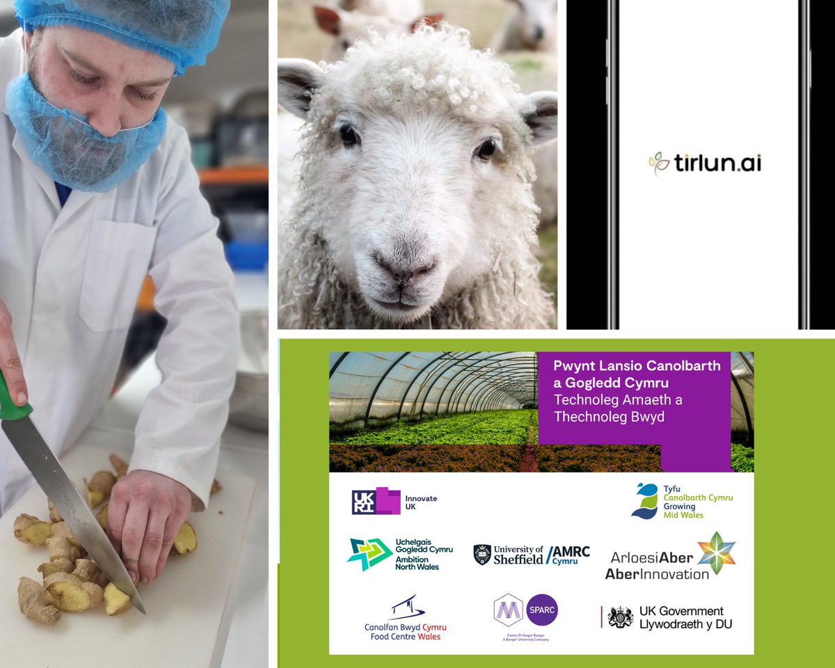 Tyfu Canolbarth Cymru - Growing Mid Wales (@growingmidwales) on Twitter photo 🚀 Arloesedd cyffrous o Ganolbarth a Gogledd Cymru! Mae prosiectau newydd yn gyrru datblygiadau technoleg amaeth a thechnoleg bwyd, gan hybu sgiliau rhanbarthol a chynaliadwyedd. 🌿 Darllenwch fwy: tyfucanolbarth.cymru/article/17964
<a href="/M_SParc/">M-SParc</a> <a href="/UchelgaisGC/">Uchelgais Gogledd Cymru</a> <a href="/innovateuk/">Innovate UK</a> <a href="/FoodCentreWales/">FoodCentreWales</a> 🚀 Arloesedd cyffrous o Ganolbarth a Gogledd Cymru! Mae prosiectau newydd yn gyrru datblygiadau technoleg amaeth a thechnoleg bwyd, gan hybu sgiliau rhanbarthol a chynaliadwyedd. 🌿 Darllenwch fwy: tyfucanolbarth.cymru/article/17964
<a href="/M_SParc/">M-SParc</a> <a href="/UchelgaisGC/">Uchelgais Gogledd Cymru</a> <a href="/innovateuk/">Innovate UK</a> <a href="/FoodCentreWales/">FoodCentreWales</a>