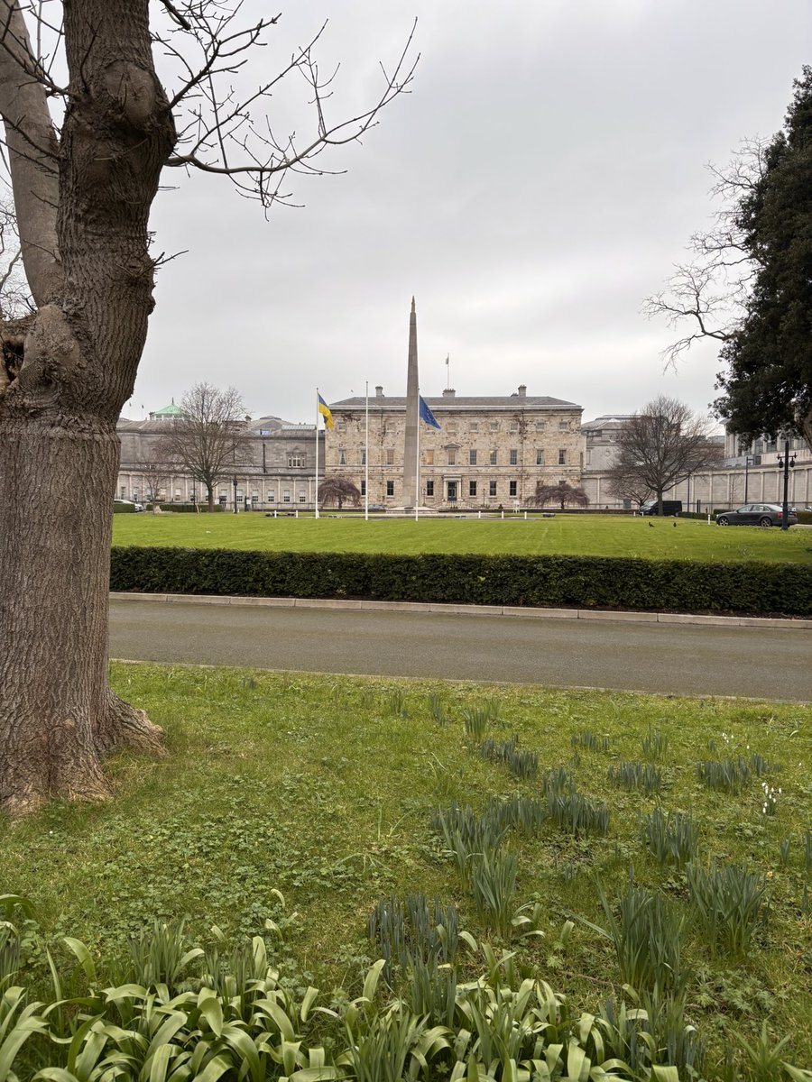 Alan Farrell tweet media