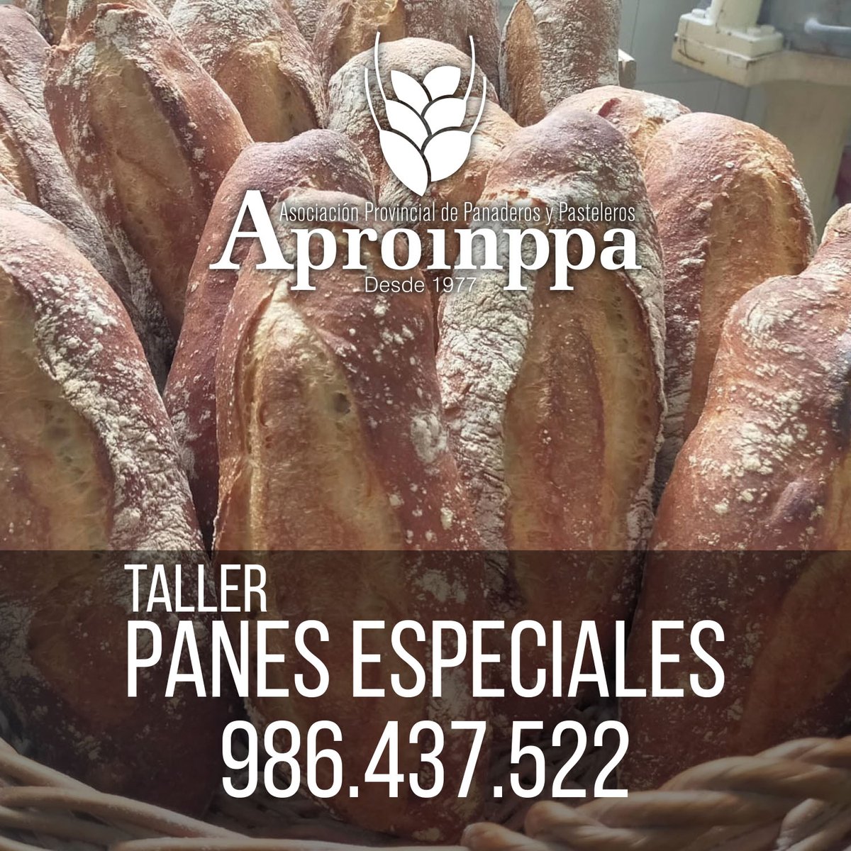 ÚLTIMAS PLAZAS!!!! TALLER DE PANES ESPECIALES este sábado 22 de febrero de 10:00 a 14:00 horas.
Llama al 986 437 522 para inscribirte u obtener más información.
Aproinppa: formando a los mejores panaderos y pasteleros de Galicia desde hace más de 30 años.