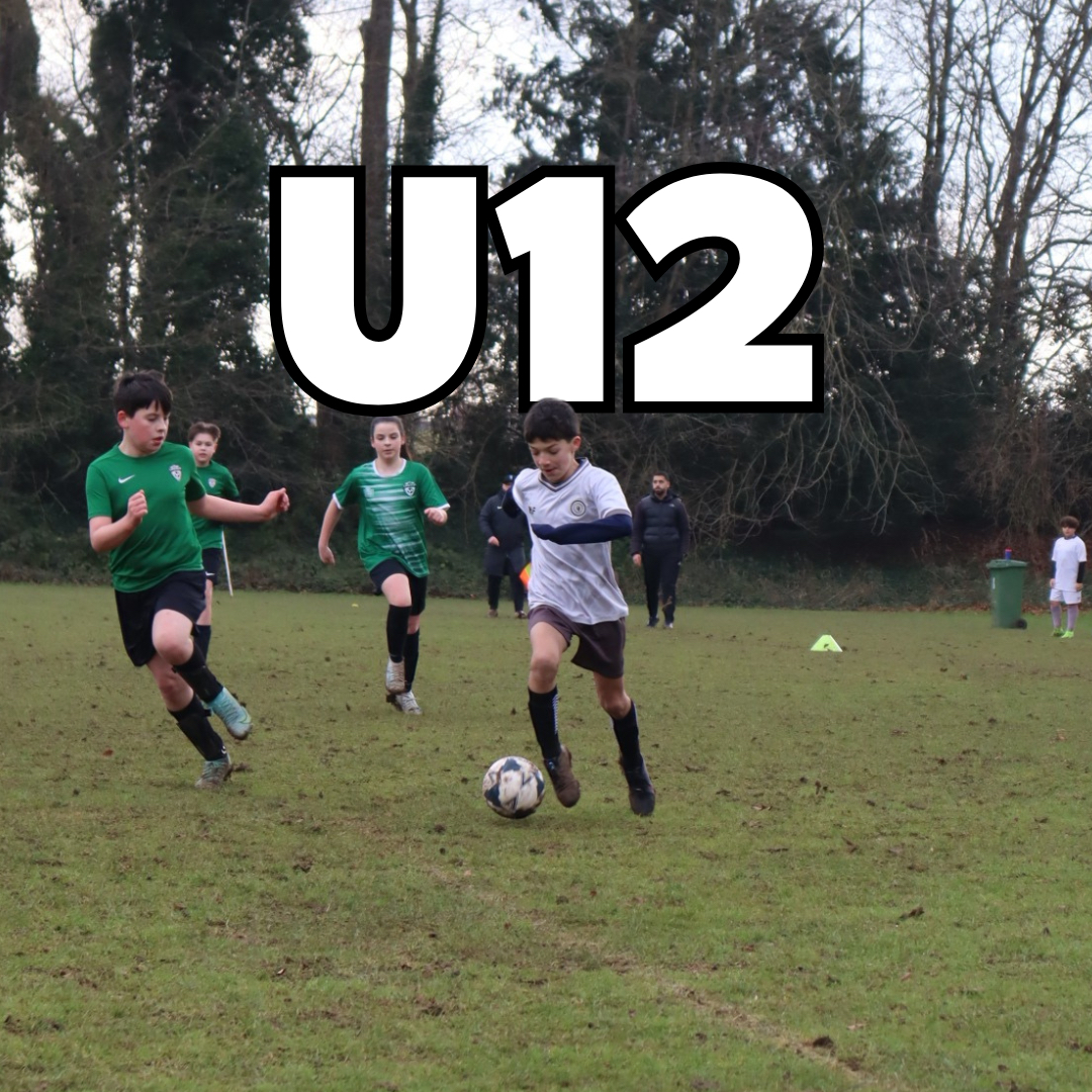 Elneny Football Club tweet media