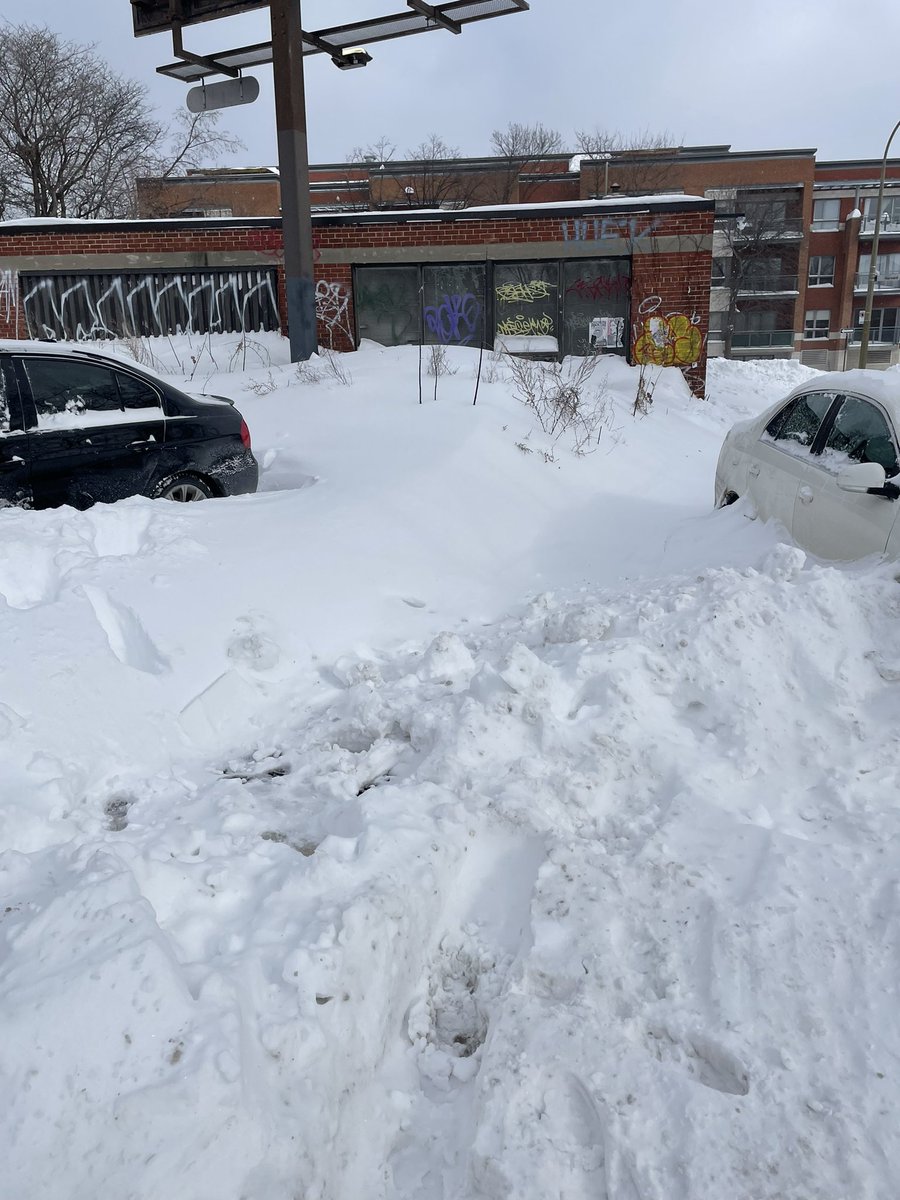 brendanshowbiz's tweet image. NDG this morning. Bike path pristine, sidewalks not touched. No comment.