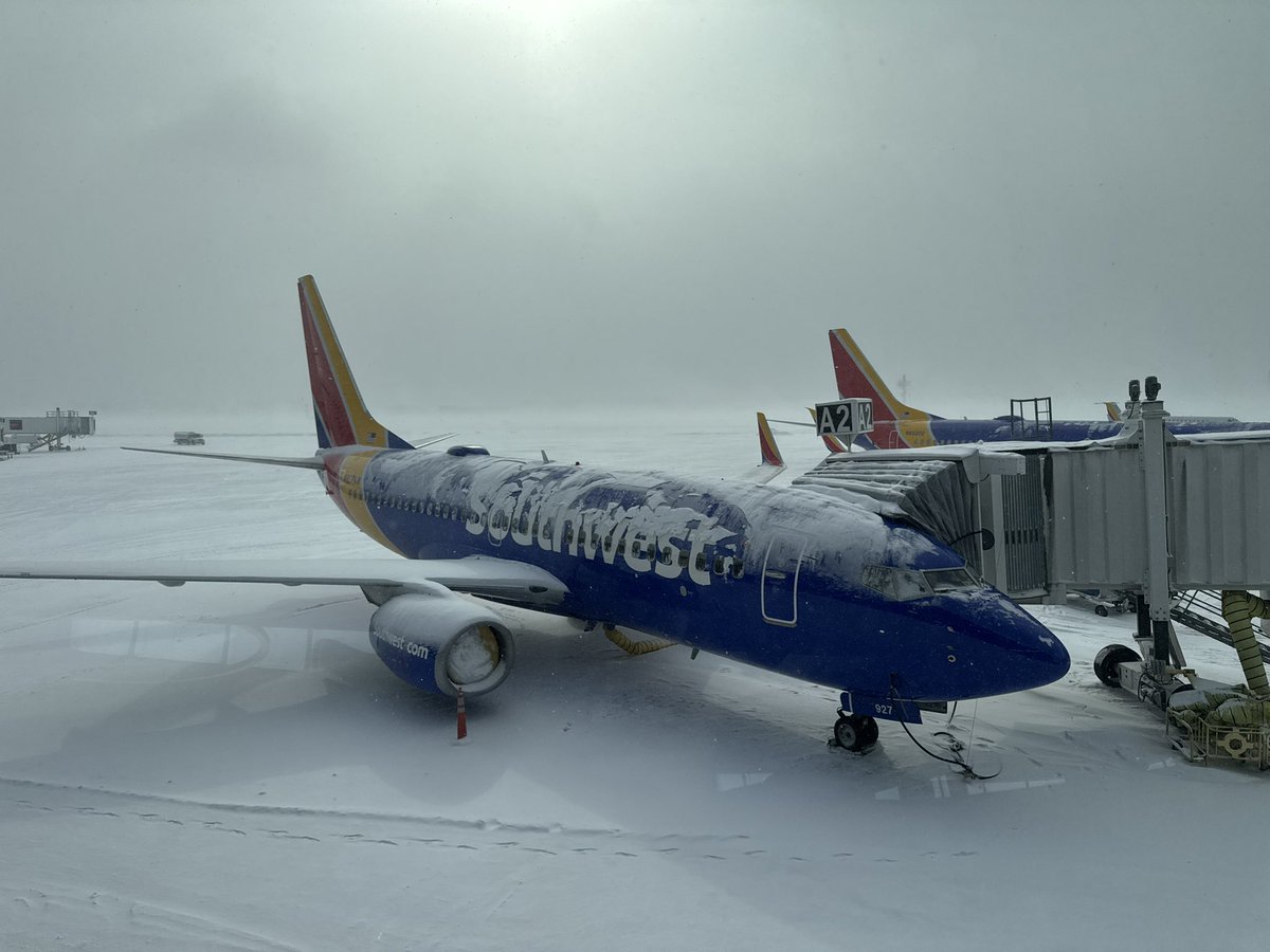 Matthew Bush tweet media