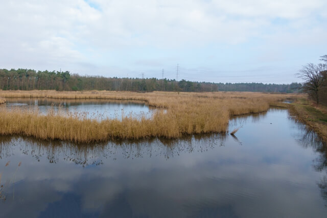 TrailExplorer tweet media