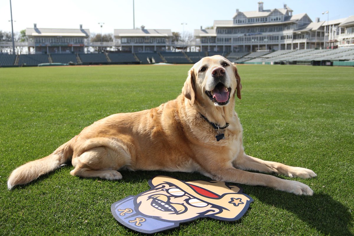 I am sure Teddy and I would have been best friends.

Happy Presidents' Day to Theodore Roosevelt!