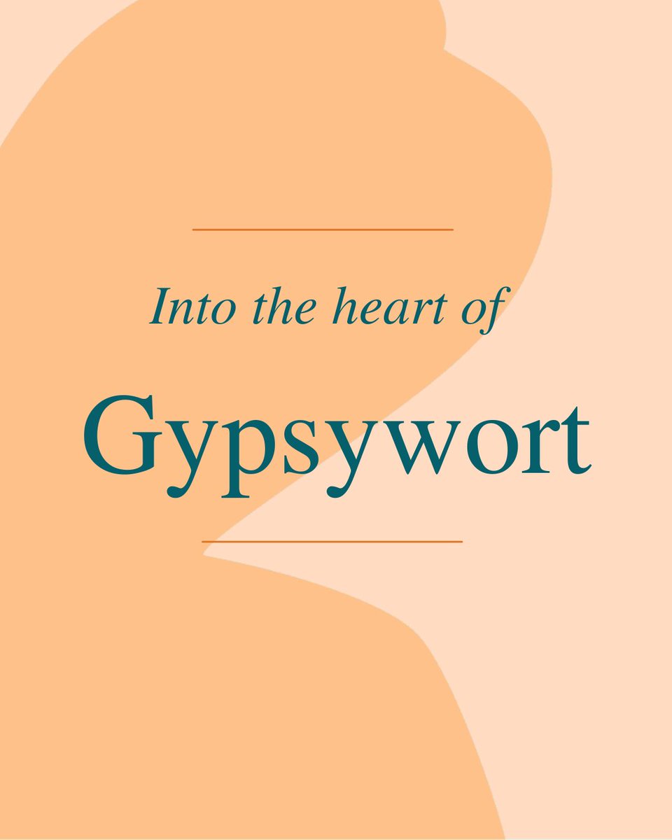 HerbalReality's tweet photo. 🌿Gypsywort (Lycopus europaeus / Lycopus virginicus)

Both gypsywort (Lycopus europaeus) and bugleweed (Lycopus virginicus) are often used interchangeably within herbal medicine. 

https://t.co/XnvRZfa4z1 https://t.co/mkIIVHkeFh