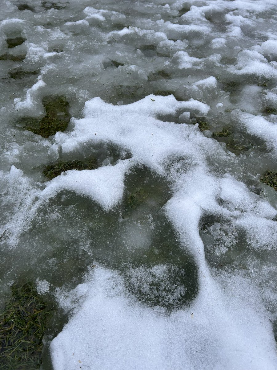 DNV Fields tweet media