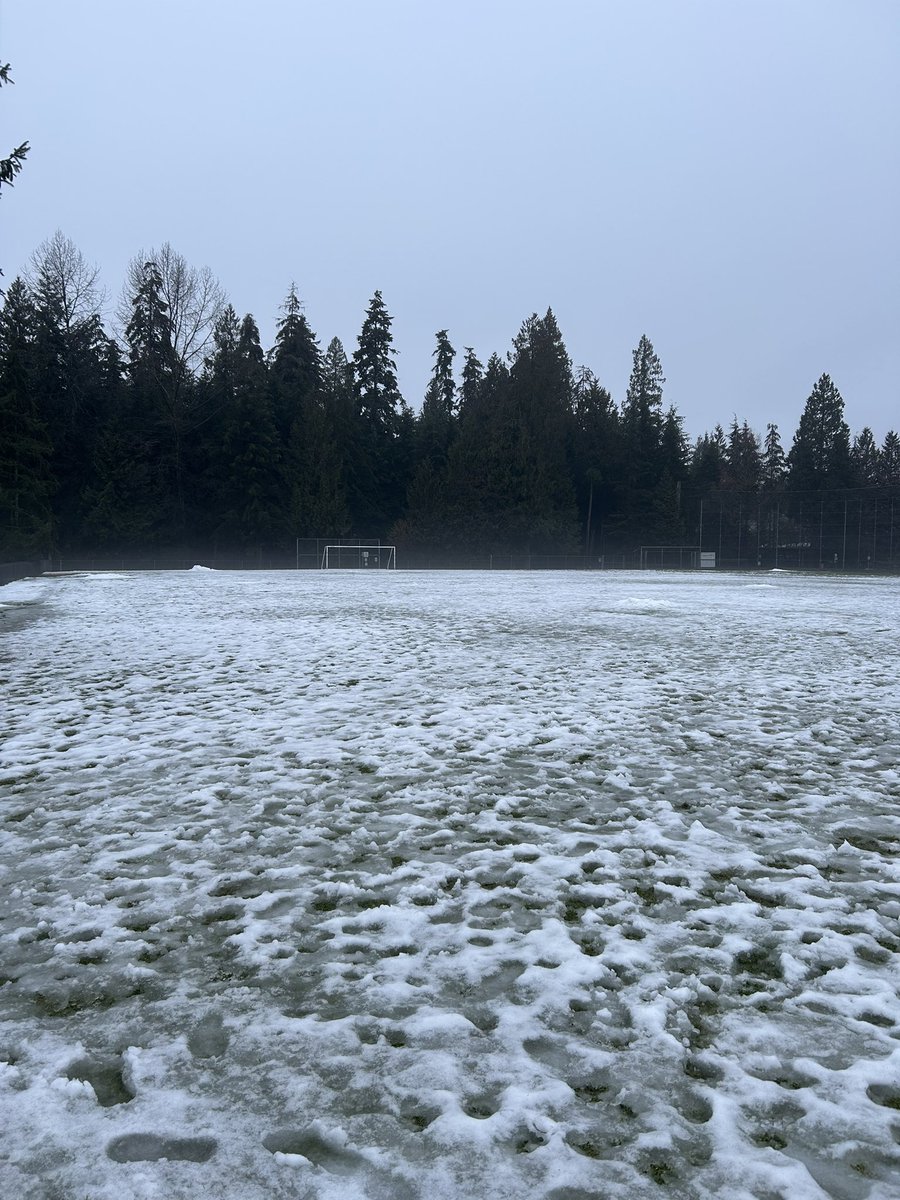 DNV Fields tweet media