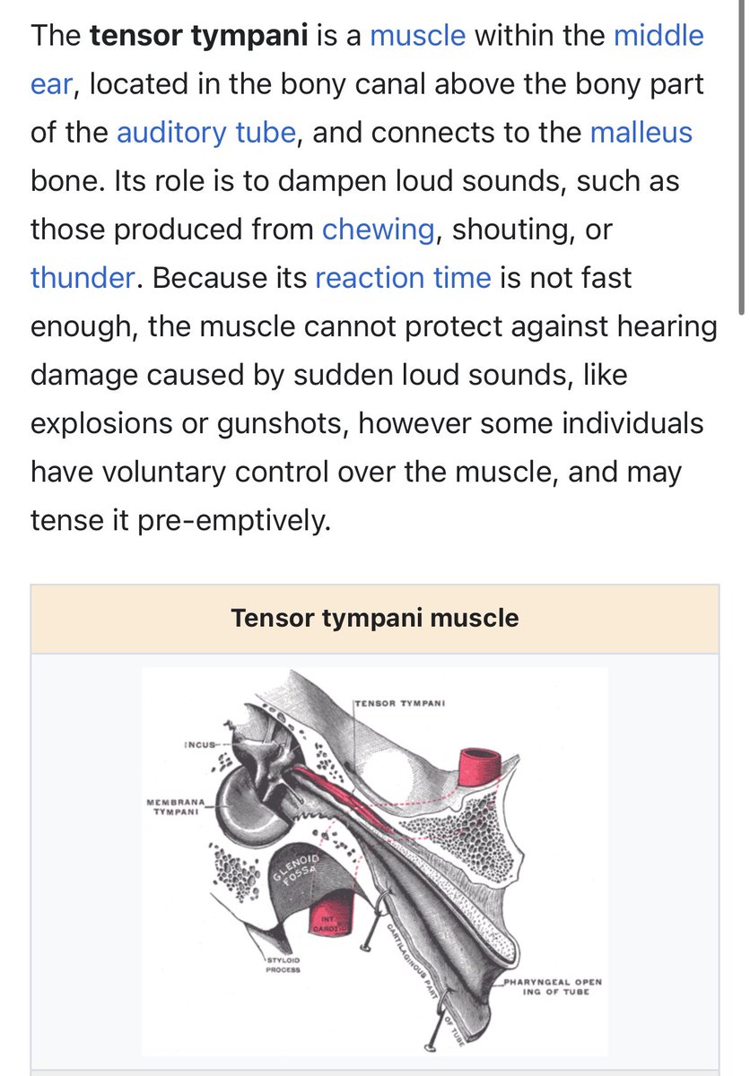 fwiw it’s really helpful if you also have the ability to control your tensor tympani in time with the eye movements and breathing, makes the whole thing far more intense