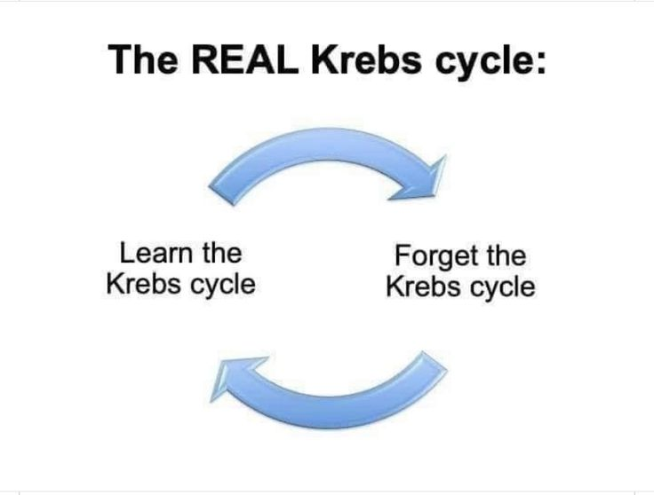 myLScareer's tweet photo. Biochemistry degree holders and students can relate 😂 .
#Biochemistry #Chemistry #Biology #Biotechnology #KrebsCycle #CellularRespiration #ScienceComics #STEM #ScienceJokes #ChemistryJokes #BiologyJokes https://t.co/DfWcikQhbC