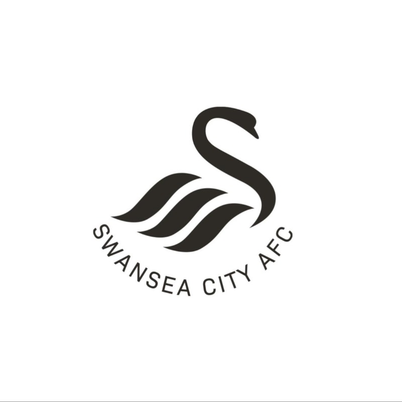 SwansOfficial's tweet photo. Swansea City can confirm the club has parted ways with head coach Luke Williams.