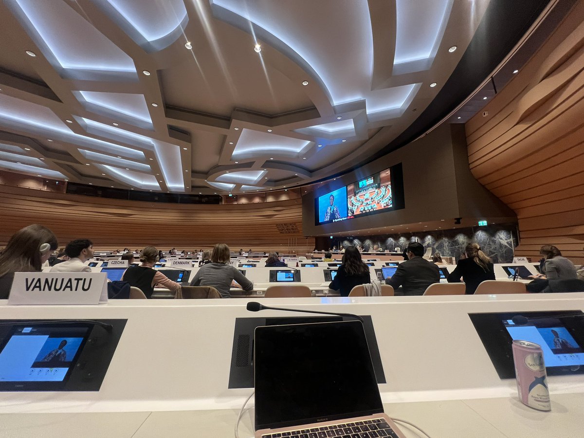 Delighted to participate in the CEDAW discussion on eliminating gender stereotypes. An excellent discussion.