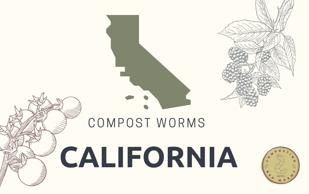 CompostingWorm's tweet image. Live in the great state of #California and need to buy #CompostingWorms?
Check out our list of in-state sellers to help you get started ASAP!
compostingwithredworms.com/buy-worms-cali…