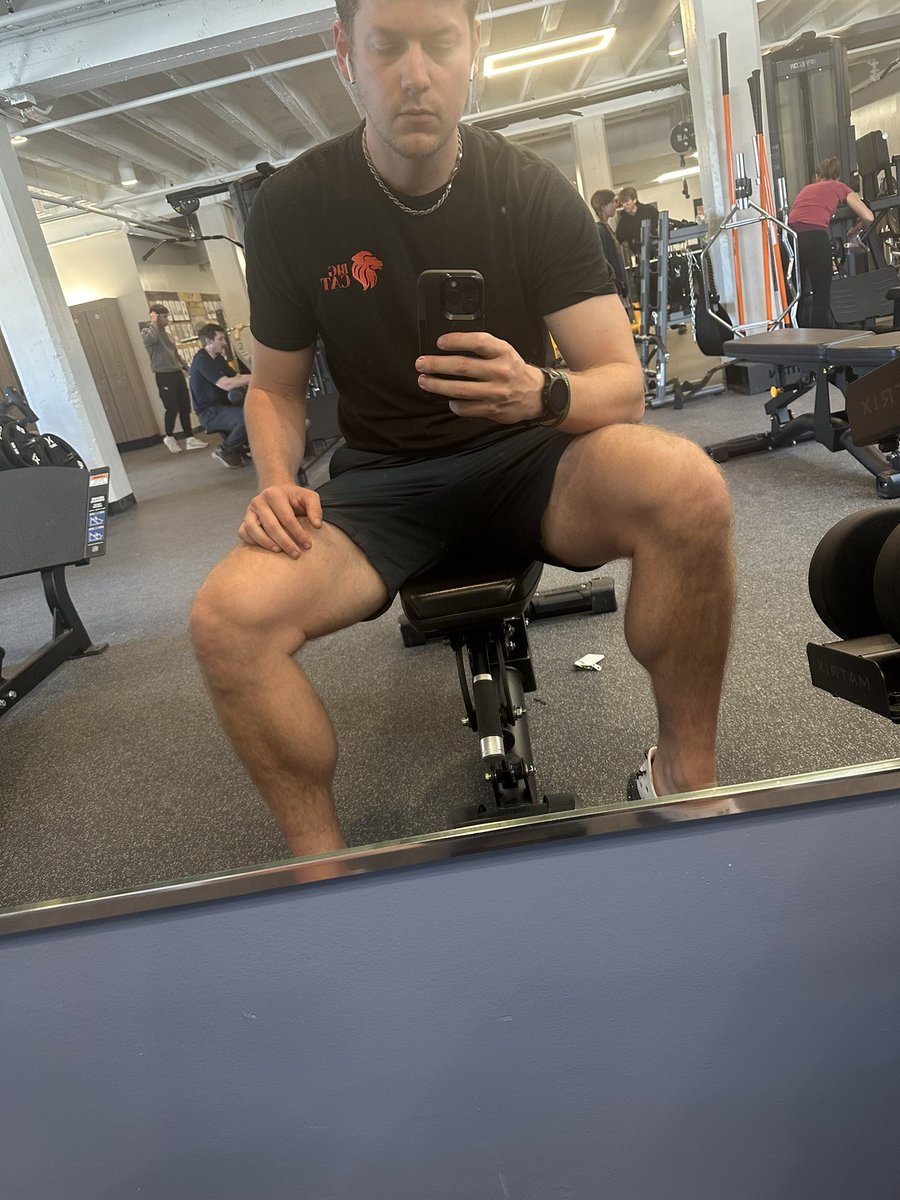 GM <a href="/BigCatDist/">BigCat 🦁</a>